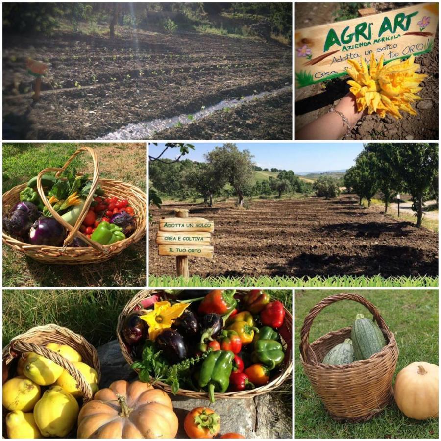 Agri Art Vila San Benedetto Ullano Exterior foto