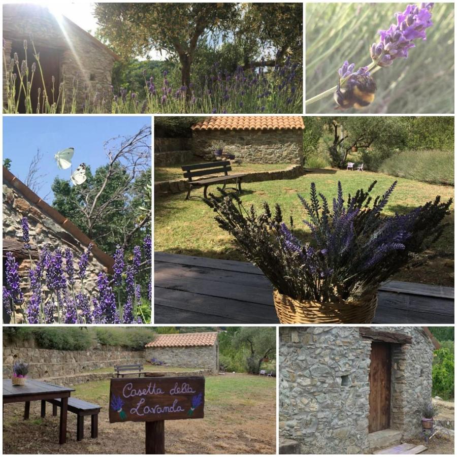 Agri Art Vila San Benedetto Ullano Exterior foto